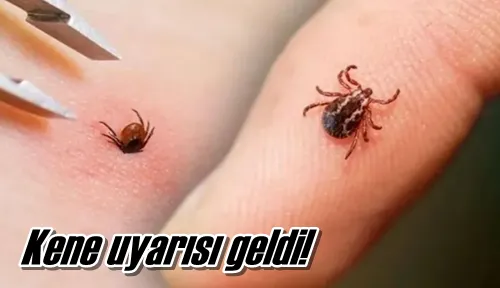 Kene uyarısı geldi!