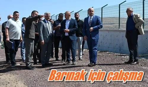 Barınak için çalışma