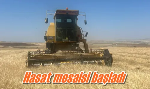 Hasat mesaisi başladı