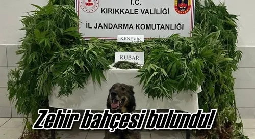 Zehir bahçesi bulundu!