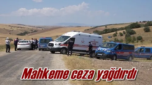 Mahkeme ceza yağdırdı