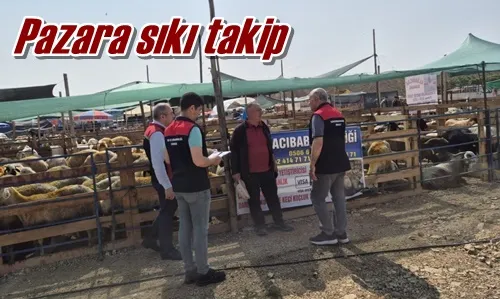 Pazara sıkı takip