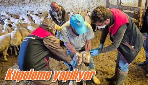 Küpeleme yapılıyor