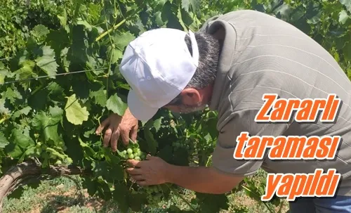 Zararlı taraması yapıldı