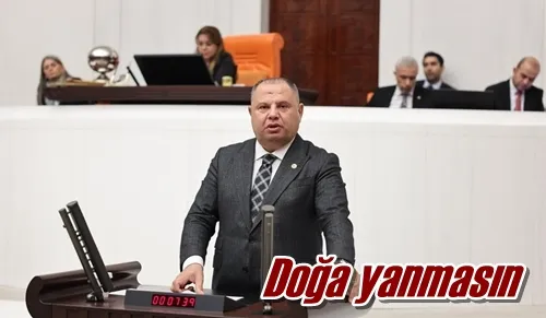 Doğa yanmasın