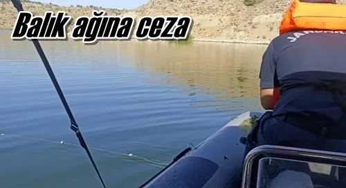 Balık ağına ceza