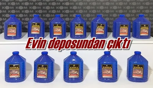 Evin deposundan çıktı