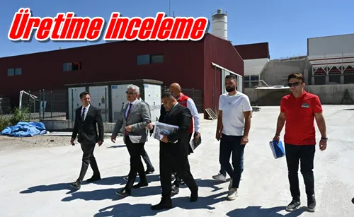 Üretime inceleme