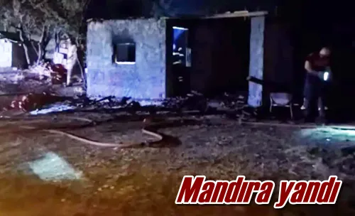 Mandıra yandı