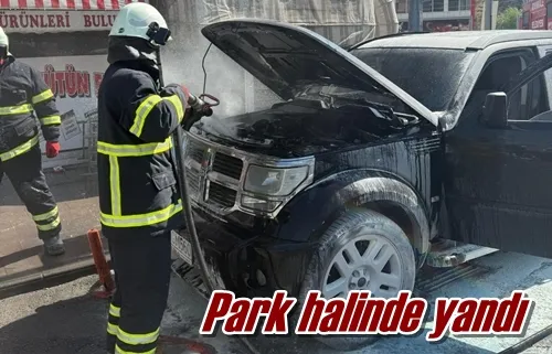 Park halinde yandı
