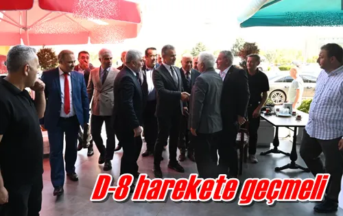 D-8 harekete geçmeli