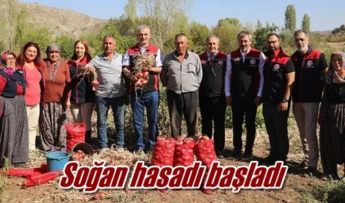 Soğan hasadı başladı