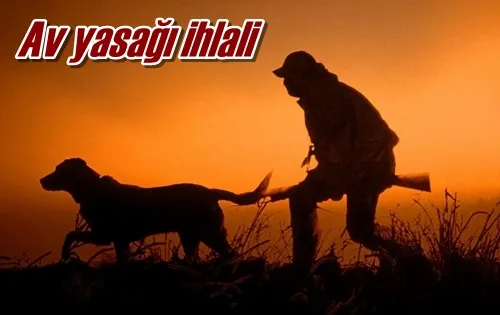 Av yasağı ihlali 