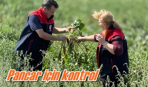 Pancar için kontrol
