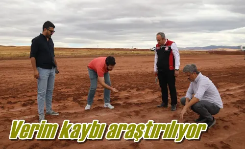 Verim kaybı araştırılıyor