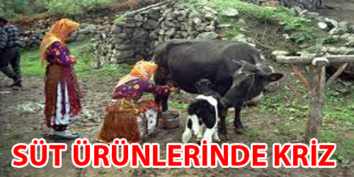 Süt Ürünlerinde Kriz