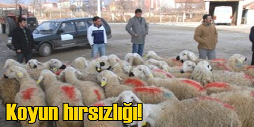 Çaldılar