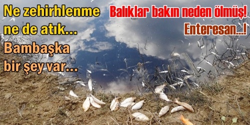 Ölüm nedenleri belli oldu