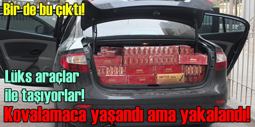 Kovalamaca İle Yakalandı!