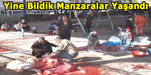 Kurban Manzaraları