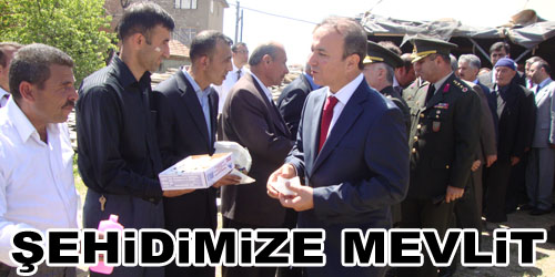 Şehide Mevlit
