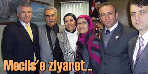 Meclise Gittiler