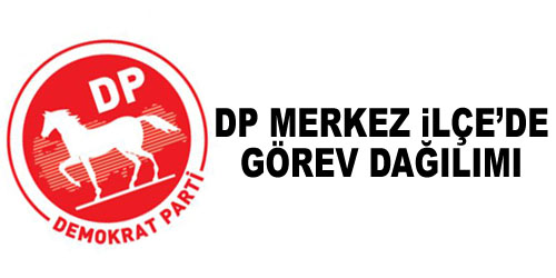 DP Merkez İlçe`de İş Bölümü