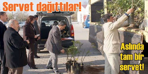 Ceviz Üretimini Geliştirme Projesi