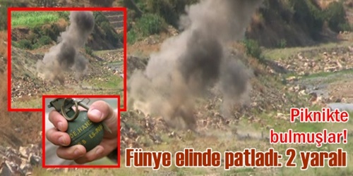 Piknikte bulmuşlar!