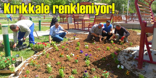 Çiçek Çalışması