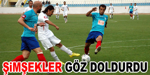 Şimşekler Sevinçli