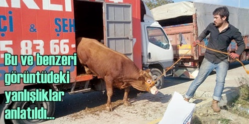 Hayvan bakıcı, satıcı  ve nakliyecisine eğitim