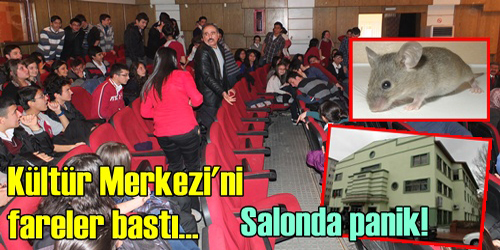 Kültür merkezi