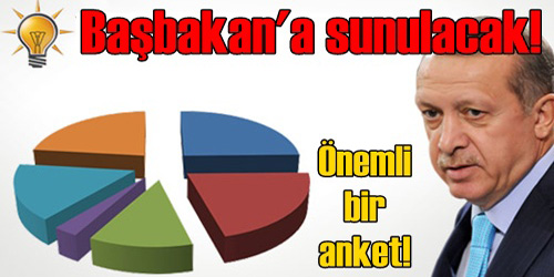 Geniş Kapsamlı Anket