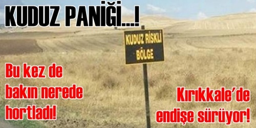 Elmadağ`da kuduz tedirginliği