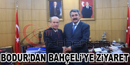 Bodur, Bahçeli İle Görüştü