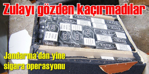 Jandarma Yakalar