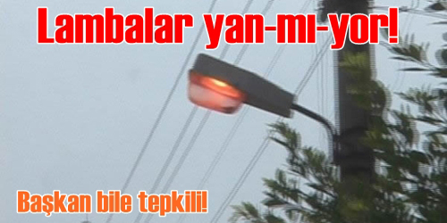 Herkes Tepkili