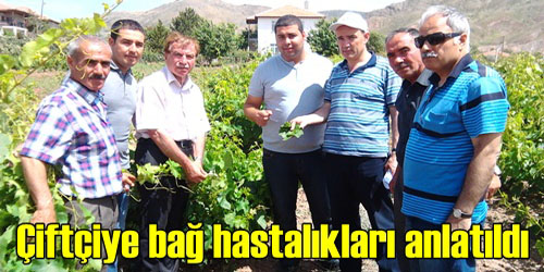 Bağ Hastalıkları İle Mücadele 