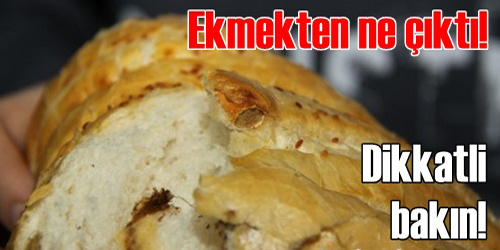 Ekmeğin İçinden Ne Çıktı?