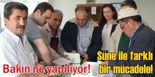 Süneye karşı doğal mücadele