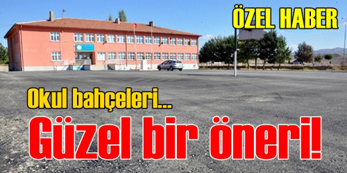 Güzel Bir Öneri!