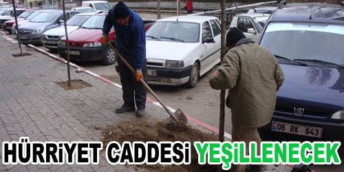 Hürriyet Caddesi`ne Düzenleme