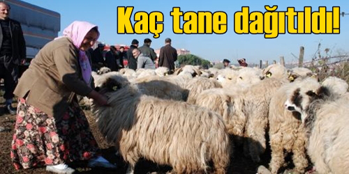 Hayvancılığa Destek