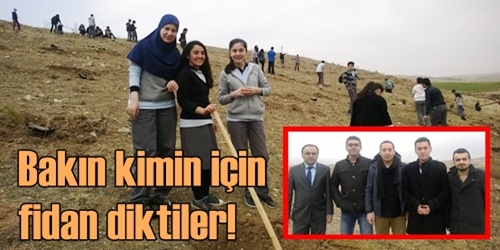 İnan için fidan diktiler