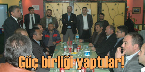 Güç Birliği Yaptılar