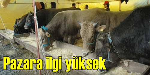 Kurban Pazarı Hareketlendi