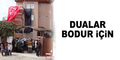 Bodur Üzüntüsü Devam Ediyor