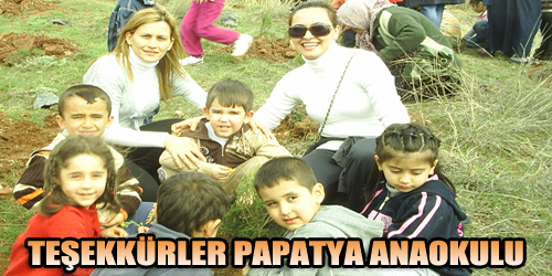 TEŞEKKÜRLER PAPATYA  ANAOKULU