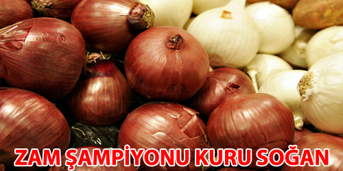 ZAM ŞAMPİYONU KURU SOĞAN